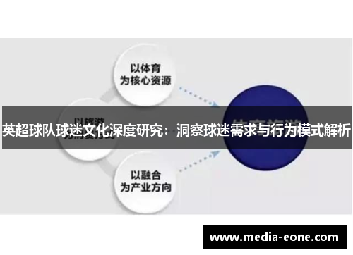 英超球队球迷文化深度研究：洞察球迷需求与行为模式解析