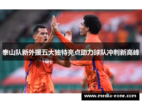 泰山队新外援五大独特亮点助力球队冲刺新高峰