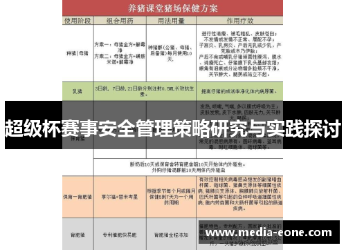 超级杯赛事安全管理策略研究与实践探讨
