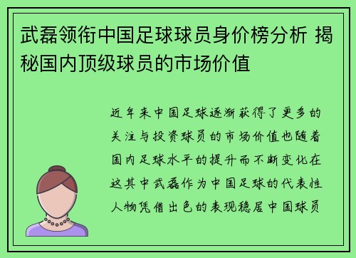 武磊领衔中国足球球员身价榜分析 揭秘国内顶级球员的市场价值