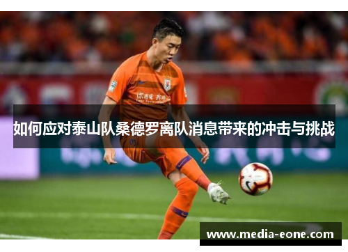 如何应对泰山队桑德罗离队消息带来的冲击与挑战