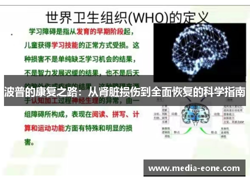 波普的康复之路：从肾脏损伤到全面恢复的科学指南