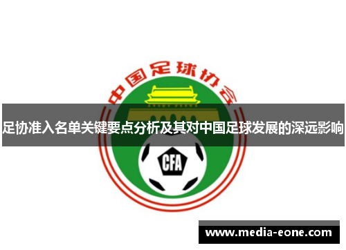 足协准入名单关键要点分析及其对中国足球发展的深远影响