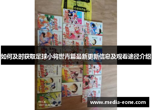 如何及时获取足球小将世青篇最新更新信息及观看途径介绍