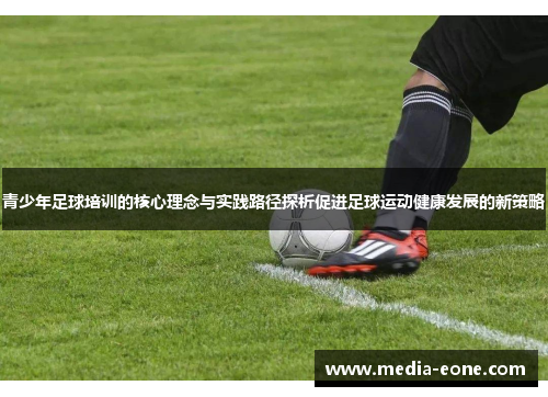 青少年足球培训的核心理念与实践路径探析促进足球运动健康发展的新策略